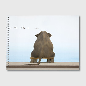 Альбом для рисования с принтом Слон и журавли в Курске, 100% бумага
 | матовая бумага, плотность 200 мг. | bench | coast | cranes | dream | elephant | flight | sea | sitting | берег | журавли | мечты | море | полет | сидит | скамейка | слон