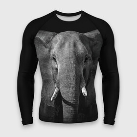 Мужской рашгард 3D с принтом Слон в Курске,  |  | animal | big | black   white | elephant | wild | большой | дикий | животное | слон | черно   белый