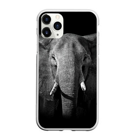 Чехол для iPhone 11 Pro матовый с принтом Слон в Курске, Силикон |  | animal | big | black   white | elephant | wild | большой | дикий | животное | слон | черно   белый