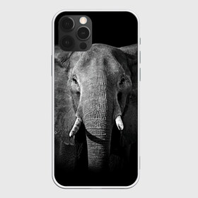 Чехол для iPhone 12 Pro Max с принтом Слон в Курске, Силикон |  | Тематика изображения на принте: animal | big | black   white | elephant | wild | большой | дикий | животное | слон | черно   белый