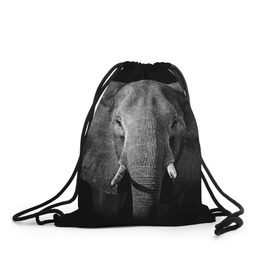 Рюкзак-мешок 3D с принтом Слон в Курске, 100% полиэстер | плотность ткани — 200 г/м2, размер — 35 х 45 см; лямки — толстые шнурки, застежка на шнуровке, без карманов и подкладки | animal | big | black   white | elephant | wild | большой | дикий | животное | слон | черно   белый