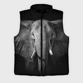 Мужской жилет утепленный 3D с принтом Слон в Курске,  |  | animal | big | black   white | elephant | wild | большой | дикий | животное | слон | черно   белый