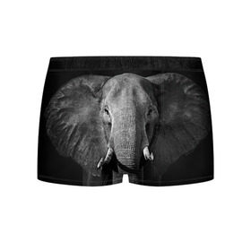 Мужские трусы 3D с принтом Слон в Курске, 50% хлопок, 50% полиэстер | классическая посадка, на поясе мягкая тканевая резинка | animal | big | black   white | elephant | wild | большой | дикий | животное | слон | черно   белый