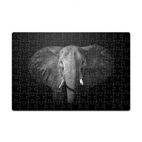 Пазл магнитный 126 элементов с принтом Слон в Курске, полимерный материал с магнитным слоем | 126 деталей, размер изделия —  180*270 мм | animal | big | black   white | elephant | wild | большой | дикий | животное | слон | черно   белый
