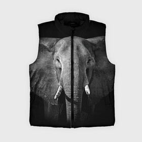 Женский жилет утепленный 3D с принтом Слон в Курске,  |  | animal | big | black   white | elephant | wild | большой | дикий | животное | слон | черно   белый