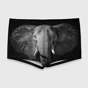 Мужские купальные плавки 3D с принтом Слон в Курске, Полиэстер 85%, Спандекс 15% |  | Тематика изображения на принте: animal | big | black   white | elephant | wild | большой | дикий | животное | слон | черно   белый