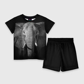 Детский костюм с шортами 3D с принтом Слон в Курске,  |  | animal | big | black   white | elephant | wild | большой | дикий | животное | слон | черно   белый