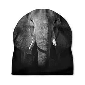 Шапка 3D с принтом Слон в Курске, 100% полиэстер | универсальный размер, печать по всей поверхности изделия | animal | big | black   white | elephant | wild | большой | дикий | животное | слон | черно   белый