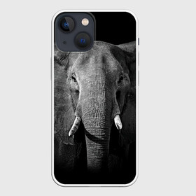 Чехол для iPhone 13 mini с принтом Слон в Курске,  |  | animal | big | black   white | elephant | wild | большой | дикий | животное | слон | черно   белый