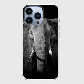 Чехол для iPhone 13 Pro с принтом Слон в Курске,  |  | animal | big | black   white | elephant | wild | большой | дикий | животное | слон | черно   белый