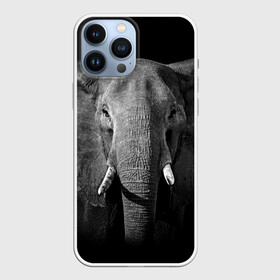 Чехол для iPhone 13 Pro Max с принтом Слон в Курске,  |  | Тематика изображения на принте: animal | big | black   white | elephant | wild | большой | дикий | животное | слон | черно   белый