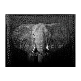 Обложка для студенческого билета с принтом Слон в Курске, натуральная кожа | Размер: 11*8 см; Печать на всей внешней стороне | animal | big | black   white | elephant | wild | большой | дикий | животное | слон | черно   белый