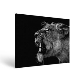 Холст прямоугольный с принтом Львица в Курске, 100% ПВХ |  | animal | fangs | head | lion | lioness | predator | teeth | wild | голова | дикая | животное | клыки | лев | львица | оскал | хищник