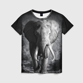 Женская футболка 3D с принтом Слон в Курске, 100% полиэфир ( синтетическое хлопкоподобное полотно) | прямой крой, круглый вырез горловины, длина до линии бедер | africa | animal | big | black   white | elephant | go | road | savannah | wild | африка | большой | дикий | дорога | животное | идет | саванна | слон | черно   белый