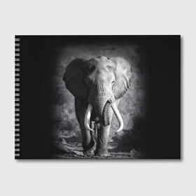 Альбом для рисования с принтом Слон в Курске, 100% бумага
 | матовая бумага, плотность 200 мг. | africa | animal | big | black   white | elephant | go | road | savannah | wild | африка | большой | дикий | дорога | животное | идет | саванна | слон | черно   белый