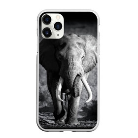 Чехол для iPhone 11 Pro матовый с принтом Слон в Курске, Силикон |  | africa | animal | big | black   white | elephant | go | road | savannah | wild | африка | большой | дикий | дорога | животное | идет | саванна | слон | черно   белый