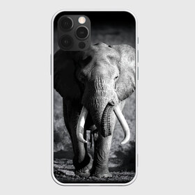 Чехол для iPhone 12 Pro Max с принтом Слон в Курске, Силикон |  | africa | animal | big | black   white | elephant | go | road | savannah | wild | африка | большой | дикий | дорога | животное | идет | саванна | слон | черно   белый