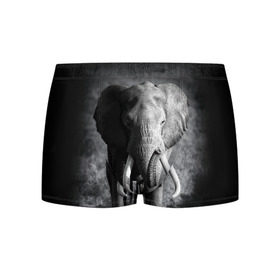 Мужские трусы 3D с принтом Слон в Курске, 50% хлопок, 50% полиэстер | классическая посадка, на поясе мягкая тканевая резинка | africa | animal | big | black   white | elephant | go | road | savannah | wild | африка | большой | дикий | дорога | животное | идет | саванна | слон | черно   белый