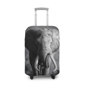 Чехол для чемодана 3D с принтом Слон в Курске, 86% полиэфир, 14% спандекс | двустороннее нанесение принта, прорези для ручек и колес | africa | animal | big | black   white | elephant | go | road | savannah | wild | африка | большой | дикий | дорога | животное | идет | саванна | слон | черно   белый