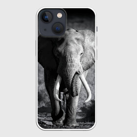 Чехол для iPhone 13 mini с принтом Слон в Курске,  |  | africa | animal | big | black   white | elephant | go | road | savannah | wild | африка | большой | дикий | дорога | животное | идет | саванна | слон | черно   белый