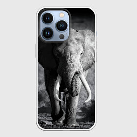 Чехол для iPhone 13 Pro с принтом Слон в Курске,  |  | africa | animal | big | black   white | elephant | go | road | savannah | wild | африка | большой | дикий | дорога | животное | идет | саванна | слон | черно   белый