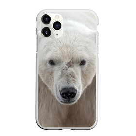 Чехол для iPhone 11 Pro Max матовый с принтом Белый медведь в Курске, Силикон |  | animal | bear | eyes | head | north | polar | predator | white | wild | белый | взгляд | голова | дикий | животное | медведь | полярный | север | хищник