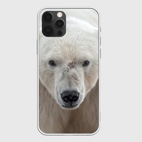 Чехол для iPhone 12 Pro Max с принтом Белый медведь в Курске, Силикон |  | animal | bear | eyes | head | north | polar | predator | white | wild | белый | взгляд | голова | дикий | животное | медведь | полярный | север | хищник