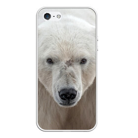 Чехол для iPhone 5/5S матовый с принтом Белый медведь в Курске, Силикон | Область печати: задняя сторона чехла, без боковых панелей | animal | bear | eyes | head | north | polar | predator | white | wild | белый | взгляд | голова | дикий | животное | медведь | полярный | север | хищник