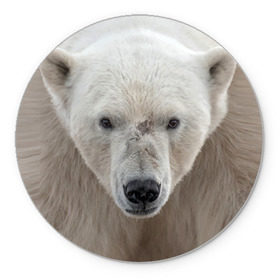 Коврик круглый с принтом Белый медведь в Курске, резина и полиэстер | круглая форма, изображение наносится на всю лицевую часть | animal | bear | eyes | head | north | polar | predator | white | wild | белый | взгляд | голова | дикий | животное | медведь | полярный | север | хищник