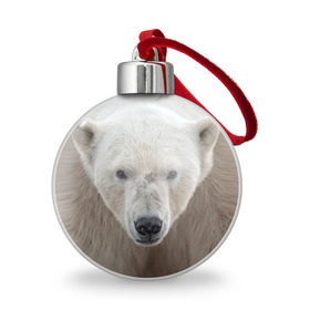 Ёлочный шар с принтом Белый медведь в Курске, Пластик | Диаметр: 77 мм | animal | bear | eyes | head | north | polar | predator | white | wild | белый | взгляд | голова | дикий | животное | медведь | полярный | север | хищник
