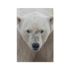 Обложка для паспорта матовая кожа с принтом Белый медведь в Курске, натуральная матовая кожа | размер 19,3 х 13,7 см; прозрачные пластиковые крепления | animal | bear | eyes | head | north | polar | predator | white | wild | белый | взгляд | голова | дикий | животное | медведь | полярный | север | хищник