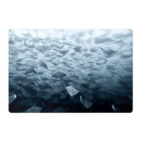 Магнитный плакат 3Х2 с принтом Электрические скаты в Курске, Полимерный материал с магнитным слоем | 6 деталей размером 9*9 см | Тематика изображения на принте: depth | fish | lot | ocean | power | rays | school | sea | water | вода | глубина | косяк | много | море | океан | рыбы | скаты | электрические