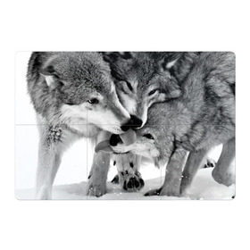 Магнитный плакат 3Х2 с принтом Волчья семья в Курске, Полимерный материал с магнитным слоем | 6 деталей размером 9*9 см | Тематика изображения на принте: animals | black   white | family | love | predators | wild | wolves | волки | дикие | животные | любовь | семья | хищники | черно   белый