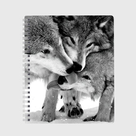 Тетрадь с принтом Волчья семья в Курске, 100% бумага | 48 листов, плотность листов — 60 г/м2, плотность картонной обложки — 250 г/м2. Листы скреплены сбоку удобной пружинной спиралью. Уголки страниц и обложки скругленные. Цвет линий — светло-серый
 | Тематика изображения на принте: animals | black   white | family | love | predators | wild | wolves | волки | дикие | животные | любовь | семья | хищники | черно   белый