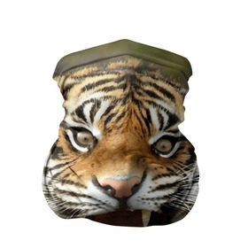Бандана-труба 3D с принтом Тигр в Курске, 100% полиэстер, ткань с особыми свойствами — Activecool | плотность 150‒180 г/м2; хорошо тянется, но сохраняет форму | angry | animal | beast | jaws | predator | teeth | tiger | животное | зверь | злой | клыки | оскал | пасть | тигр | хищник