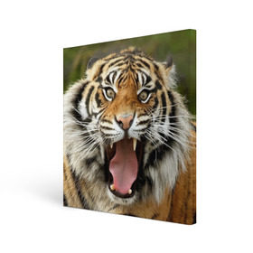 Холст квадратный с принтом Тигр в Курске, 100% ПВХ |  | angry | animal | beast | jaws | predator | teeth | tiger | животное | зверь | злой | клыки | оскал | пасть | тигр | хищник