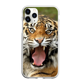 Чехол для iPhone 11 Pro Max матовый с принтом Тигр в Курске, Силикон |  | angry | animal | beast | jaws | predator | teeth | tiger | животное | зверь | злой | клыки | оскал | пасть | тигр | хищник