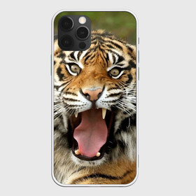 Чехол для iPhone 12 Pro Max с принтом Тигр в Курске, Силикон |  | angry | animal | beast | jaws | predator | teeth | tiger | животное | зверь | злой | клыки | оскал | пасть | тигр | хищник