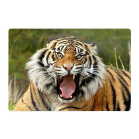 Магнитный плакат 3Х2 с принтом Тигр в Курске, Полимерный материал с магнитным слоем | 6 деталей размером 9*9 см | angry | animal | beast | jaws | predator | teeth | tiger | животное | зверь | злой | клыки | оскал | пасть | тигр | хищник