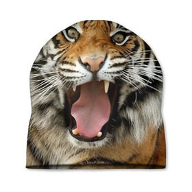 Шапка 3D с принтом Тигр в Курске, 100% полиэстер | универсальный размер, печать по всей поверхности изделия | Тематика изображения на принте: angry | animal | beast | jaws | predator | teeth | tiger | животное | зверь | злой | клыки | оскал | пасть | тигр | хищник