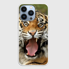 Чехол для iPhone 13 Pro с принтом Тигр в Курске,  |  | Тематика изображения на принте: angry | animal | beast | jaws | predator | teeth | tiger | животное | зверь | злой | клыки | оскал | пасть | тигр | хищник