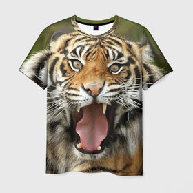 Мужская футболка 3D с принтом Тигр в Курске, 100% полиэфир | прямой крой, круглый вырез горловины, длина до линии бедер | angry | animal | beast | jaws | predator | teeth | tiger | животное | зверь | злой | клыки | оскал | пасть | тигр | хищник