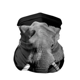 Бандана-труба 3D с принтом Слон в Курске, 100% полиэстер, ткань с особыми свойствами — Activecool | плотность 150‒180 г/м2; хорошо тянется, но сохраняет форму | africa | big | black   white | elephant is an animal | shroud | tusks | африка | бивни | большой | животное | идет | савана | слон | черно   белый