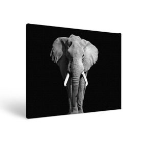 Холст прямоугольный с принтом Слон в Курске, 100% ПВХ |  | africa | big | black   white | elephant is an animal | shroud | tusks | африка | бивни | большой | животное | идет | савана | слон | черно   белый