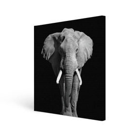 Холст квадратный с принтом Слон в Курске, 100% ПВХ |  | Тематика изображения на принте: africa | big | black   white | elephant is an animal | shroud | tusks | африка | бивни | большой | животное | идет | савана | слон | черно   белый