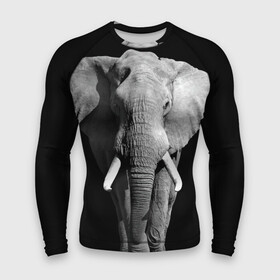 Мужской рашгард 3D с принтом Слон в Курске,  |  | africa | big | black   white | elephant is an animal | shroud | tusks | африка | бивни | большой | животное | идет | савана | слон | черно   белый