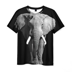 Мужская футболка 3D с принтом Слон в Курске, 100% полиэфир | прямой крой, круглый вырез горловины, длина до линии бедер | Тематика изображения на принте: africa | big | black   white | elephant is an animal | shroud | tusks | африка | бивни | большой | животное | идет | савана | слон | черно   белый