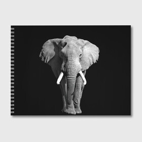 Альбом для рисования с принтом Слон в Курске, 100% бумага
 | матовая бумага, плотность 200 мг. | africa | big | black   white | elephant is an animal | shroud | tusks | африка | бивни | большой | животное | идет | савана | слон | черно   белый