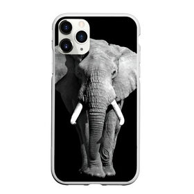 Чехол для iPhone 11 Pro матовый с принтом Слон в Курске, Силикон |  | africa | big | black   white | elephant is an animal | shroud | tusks | африка | бивни | большой | животное | идет | савана | слон | черно   белый