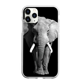 Чехол для iPhone 11 Pro Max матовый с принтом Слон в Курске, Силикон |  | africa | big | black   white | elephant is an animal | shroud | tusks | африка | бивни | большой | животное | идет | савана | слон | черно   белый
